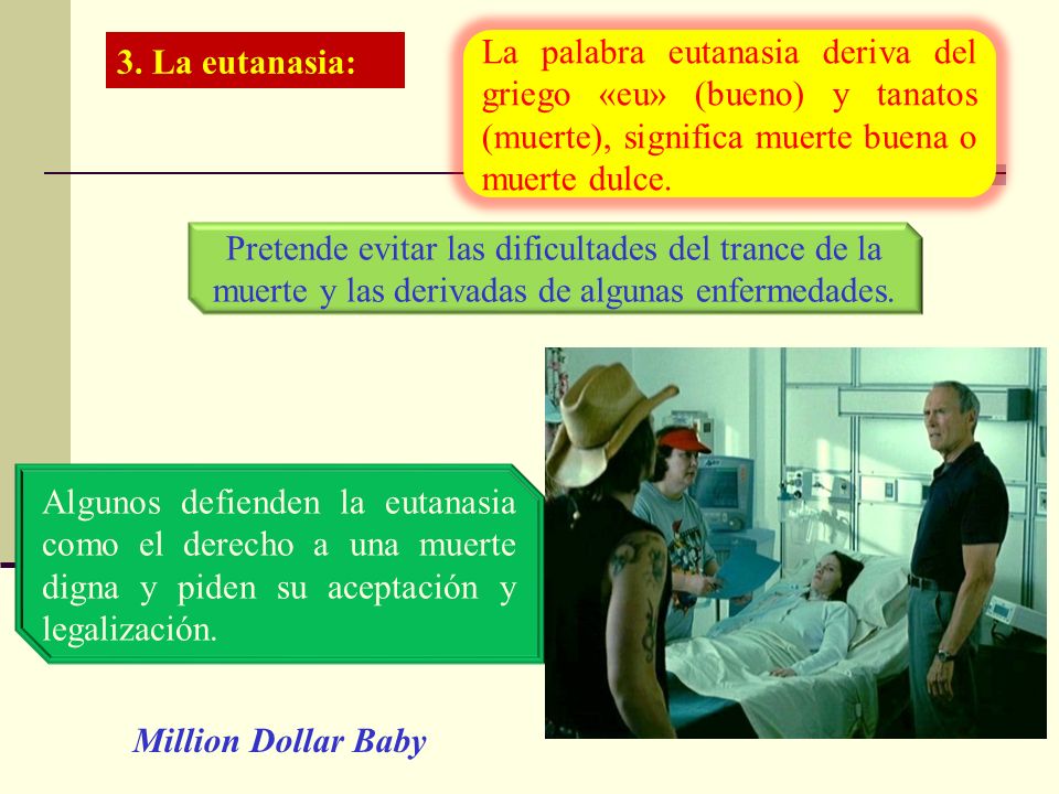 3. La eutanasia: La palabra eutanasia deriva del griego «eu» (bueno) y tanatos (muerte), significa muerte buena o muerte dulce.
