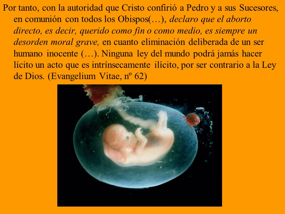 Por tanto, con la autoridad que Cristo confirió a Pedro y a sus Sucesores, en comunión con todos los Obispos(…), declaro que el aborto directo, es decir, querido como fin o como medio, es siempre un desorden moral grave, en cuanto eliminación deliberada de un ser humano inocente (…).