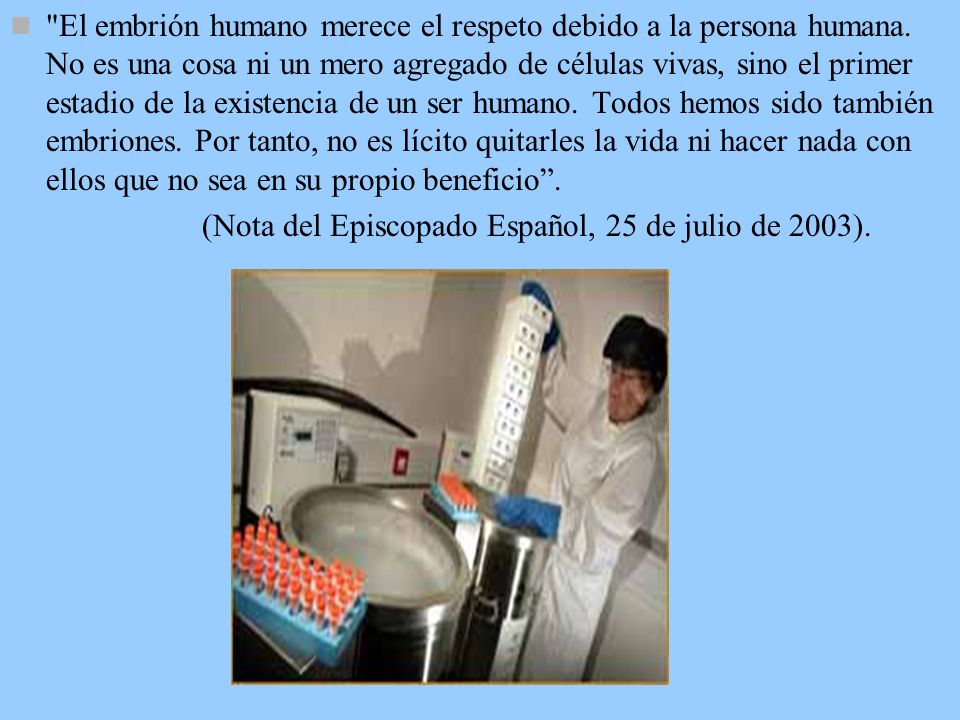 El embrión humano merece el respeto debido a la persona humana