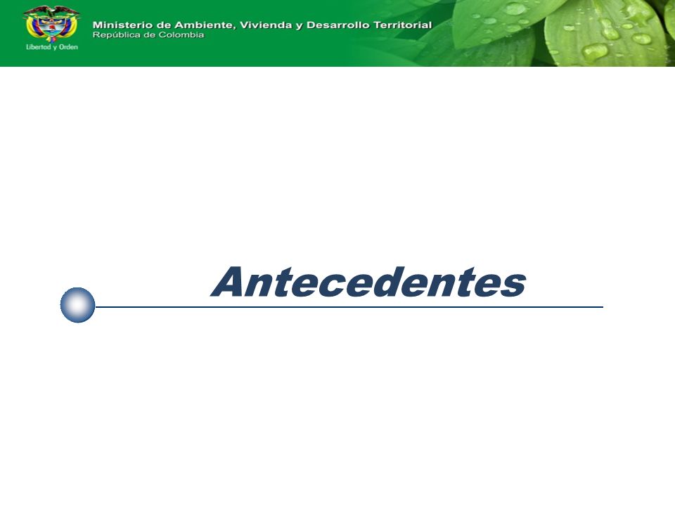 Antecedentes