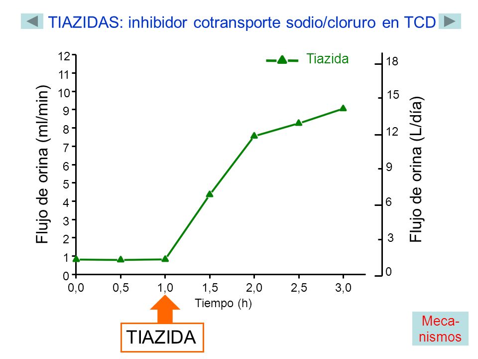 TIAZIDA TIAZIDAS: inhibidor cotransporte sodio/cloruro en TCD