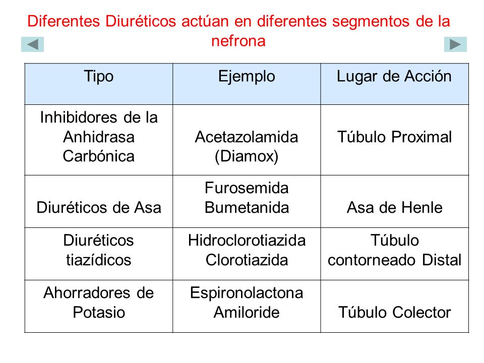 Diferentes Diuréticos actúan en diferentes segmentos de la nefrona