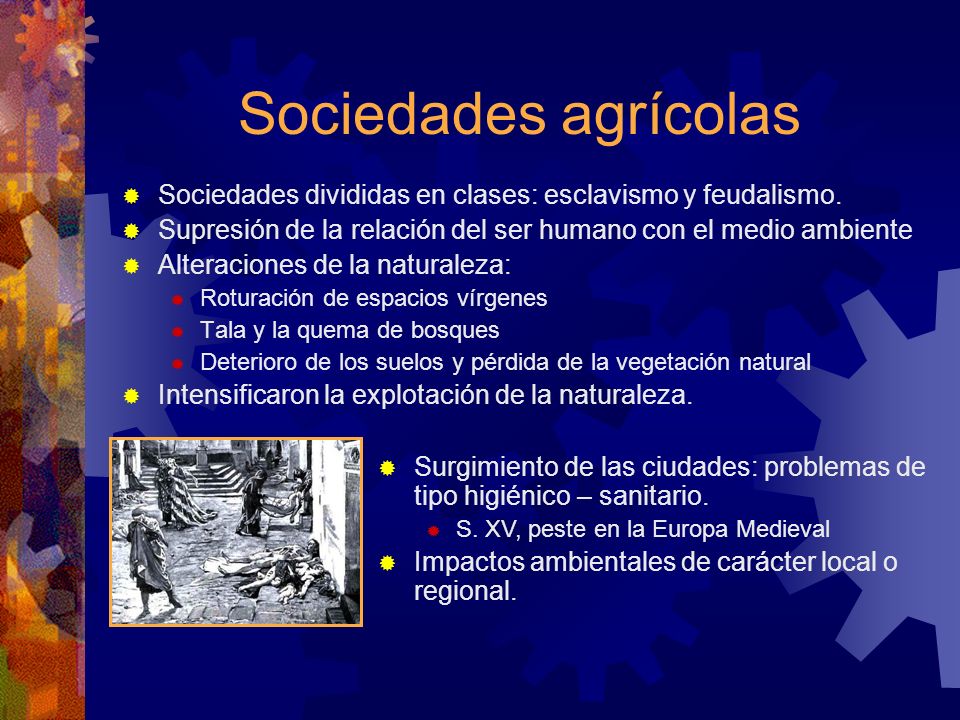 Sociedades agrícolas Sociedades divididas en clases: esclavismo y feudalismo. Supresión de la relación del ser humano con el medio ambiente.