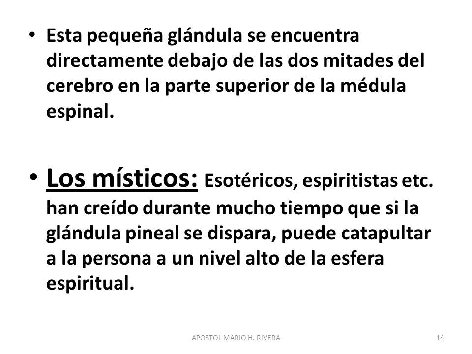 Esta pequeña glándula se encuentra directamente debajo de las dos mitades del cerebro en la parte superior de la médula espinal.