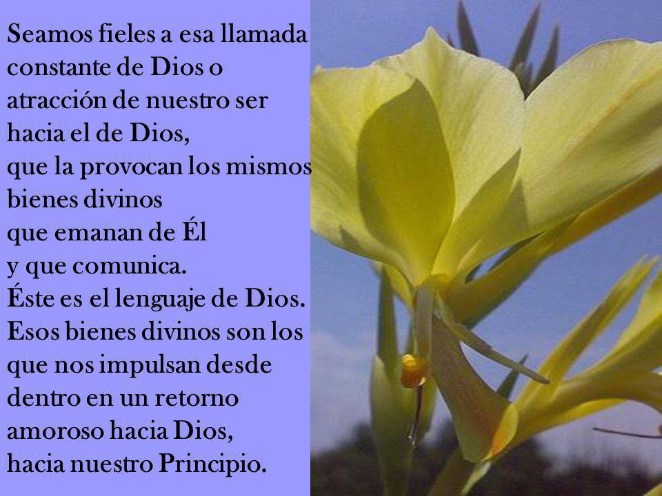 Seamos fieles a esa llamada constante de Dios o atracción de nuestro ser hacia el de Dios, que la provocan los mismos bienes divinos que emanan de Él y que comunica.