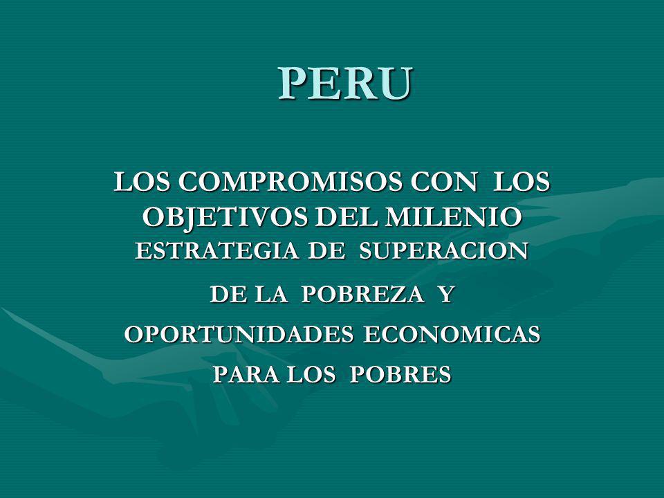 PERU LOS COMPROMISOS CON LOS OBJETIVOS DEL MILENIO ESTRATEGIA DE SUPERACION.