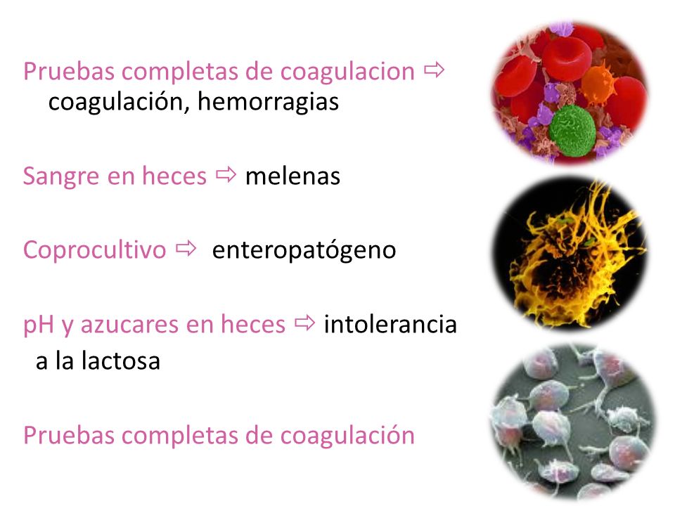 Pruebas completas de coagulacion  coagulación, hemorragias Sangre en heces  melenas Coprocultivo  enteropatógeno pH y azucares en heces  intolerancia a la lactosa Pruebas completas de coagulación