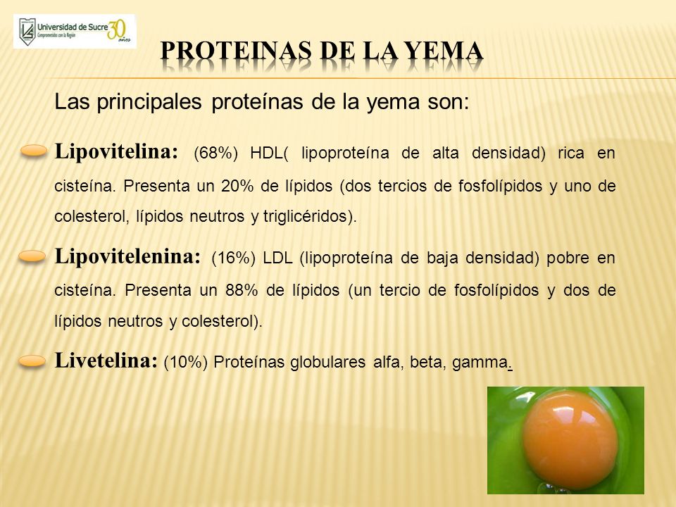 PROTEINAS DE LA YEMA Las principales proteínas de la yema son: