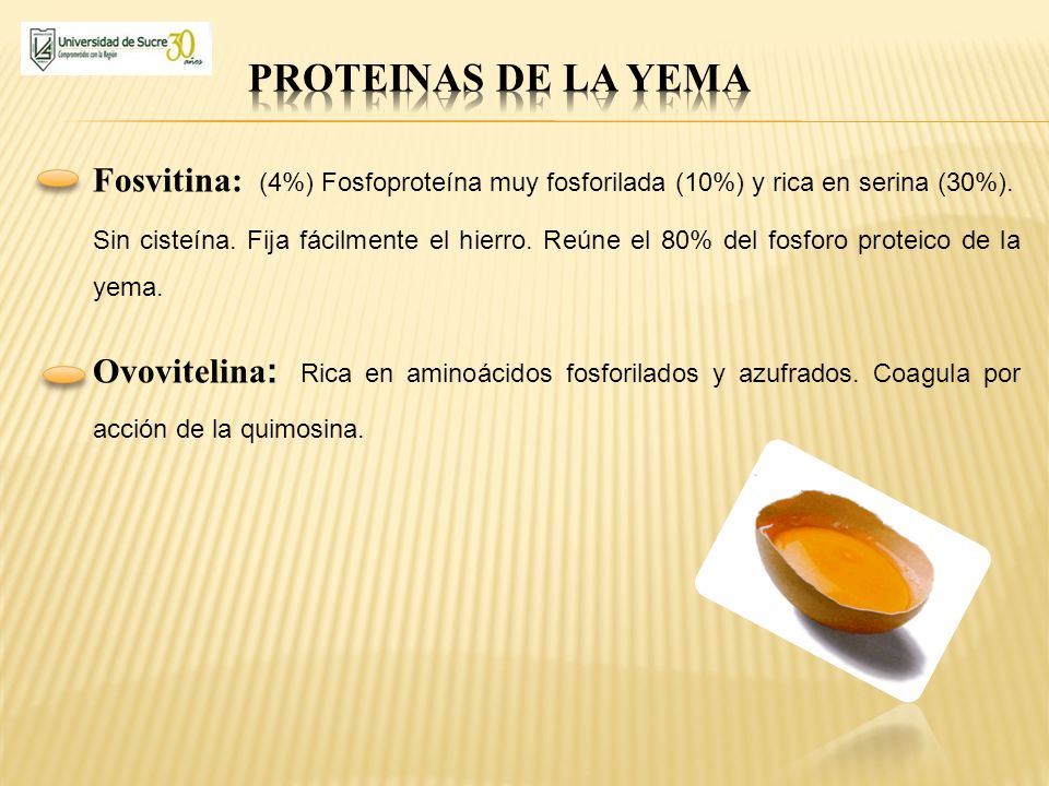 PROTEINAS DE LA YEMA Fosvitina: (4%) Fosfoproteína muy fosforilada (10%) y rica en serina (30%).