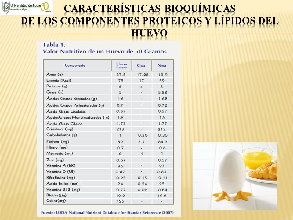Características Bioquímicas de los Componentes Proteicos y Lípidos del Huevo