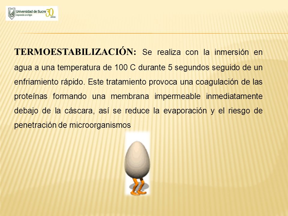 TERMOESTABILIZACIÓN: Se realiza con la inmersión en agua a una temperatura de 100 C durante 5 segundos seguido de un enfriamiento rápido.