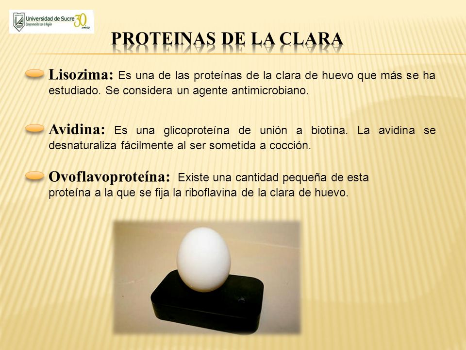 PROTEINAS DE LA CLARA Lisozima: Es una de las proteínas de la clara de huevo que más se ha estudiado. Se considera un agente antimicrobiano.