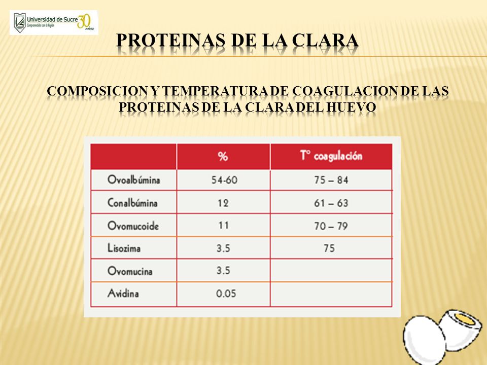 PROTEINAS DE LA CLARA COMPOSICION Y TEMPERATURA DE COAGULACION DE LAS PROTEINAS DE LA CLARA DEL HUEVO.