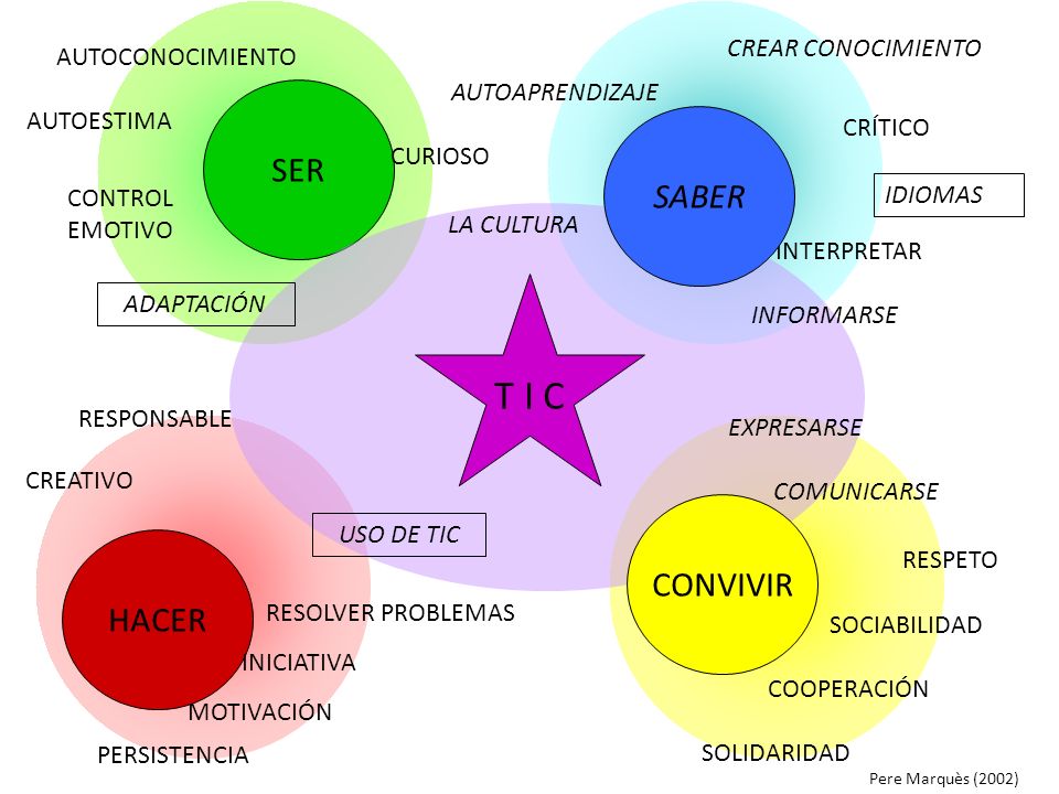 T I C SER SABER CONVIVIR HACER CREAR CONOCIMIENTO AUTOCONOCIMIENTO