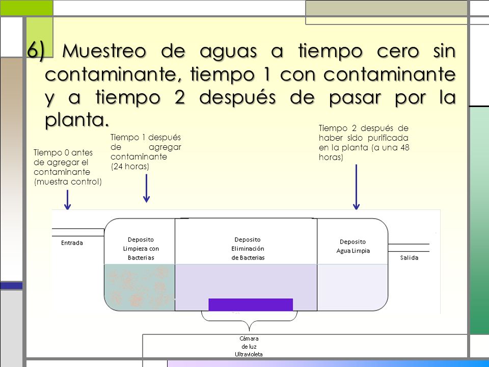 6) Muestreo de aguas a tiempo cero sin contaminante, tiempo 1 con contaminante y a tiempo 2 después de pasar por la planta.