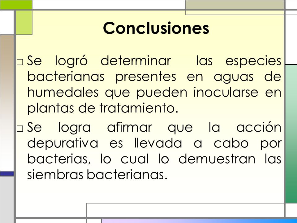 Conclusiones Se logró determinar las especies bacterianas presentes en aguas de humedales que pueden inocularse en plantas de tratamiento.