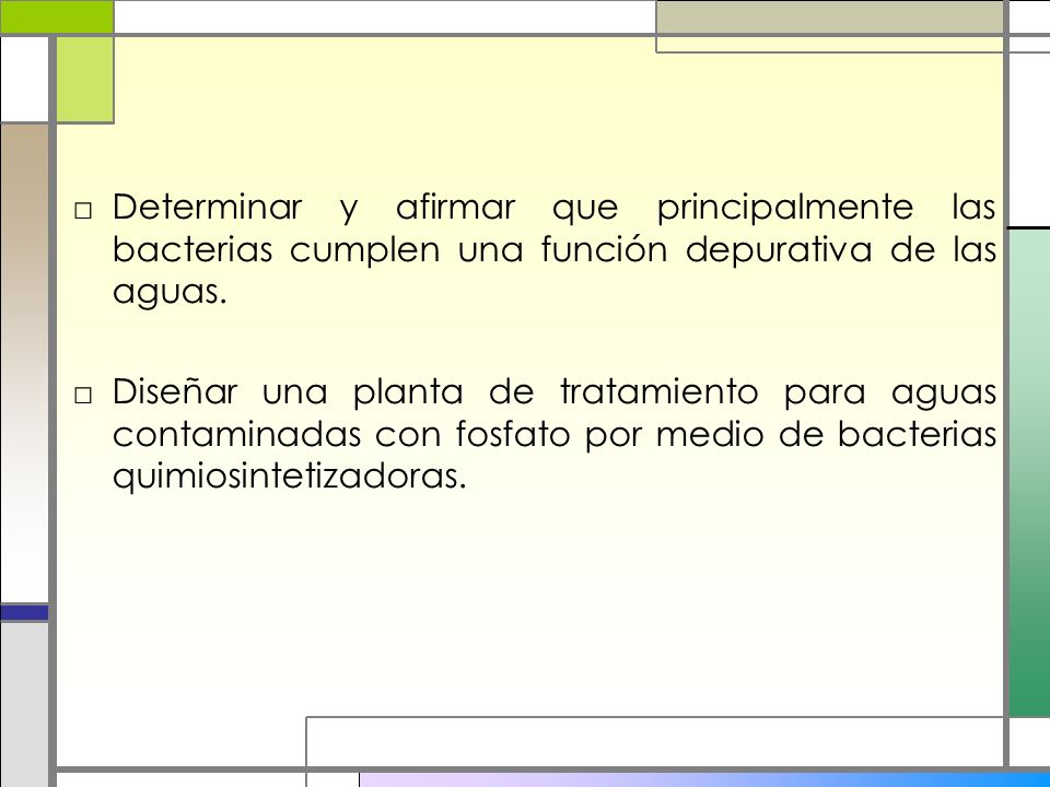 Determinar y afirmar que principalmente las bacterias cumplen una función depurativa de las aguas.