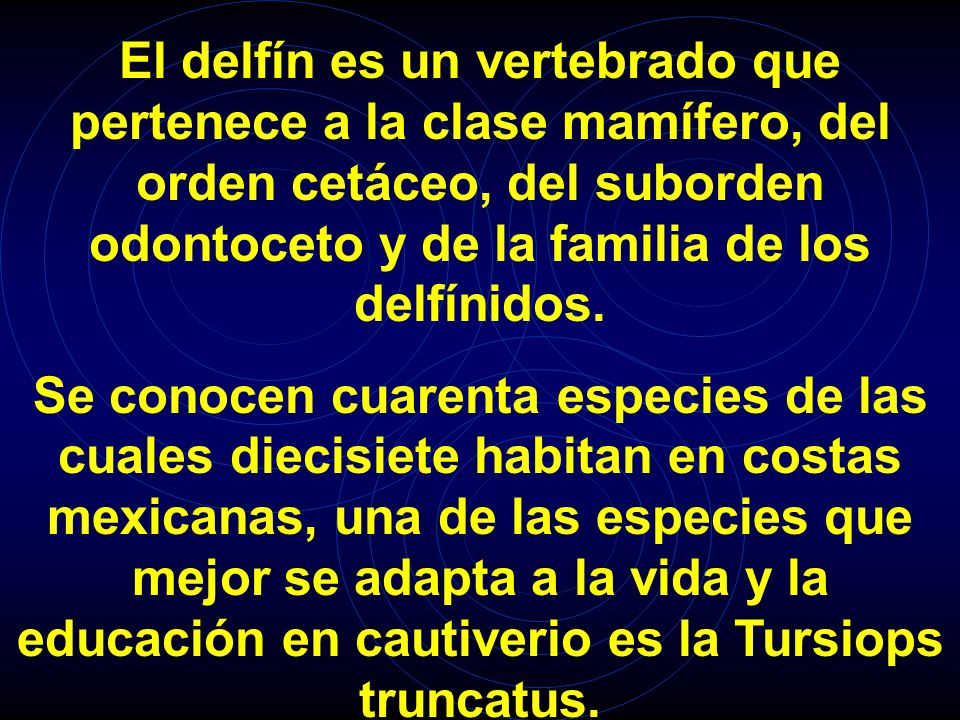 El delfín es un vertebrado que pertenece a la clase mamífero, del orden cetáceo, del suborden odontoceto y de la familia de los delfínidos.