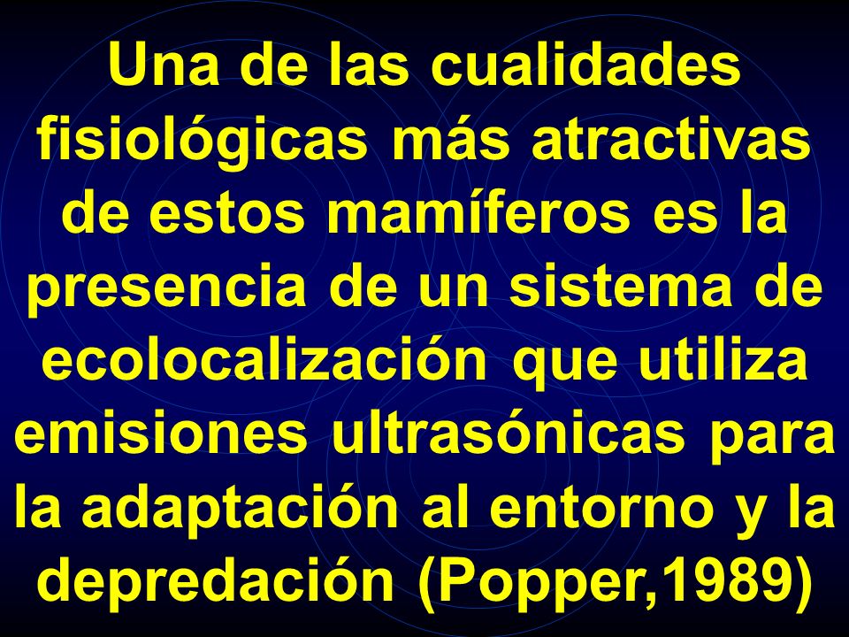 Una de las cualidades fisiológicas más atractivas de estos mamíferos es la presencia de un sistema de ecolocalización que utiliza emisiones ultrasónicas para la adaptación al entorno y la depredación (Popper,1989)