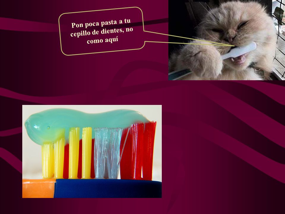 Pon poca pasta a tu cepillo de dientes, no como aquí