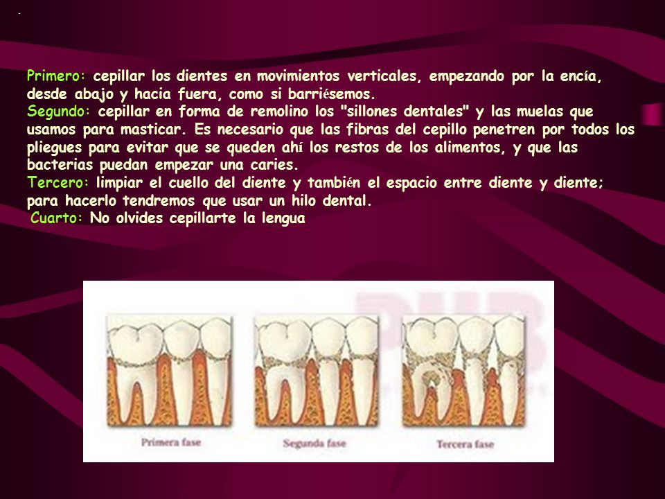 . Primero: cepillar los dientes en movimientos verticales, empezando por la encía, desde abajo y hacia fuera, como si barriésemos.