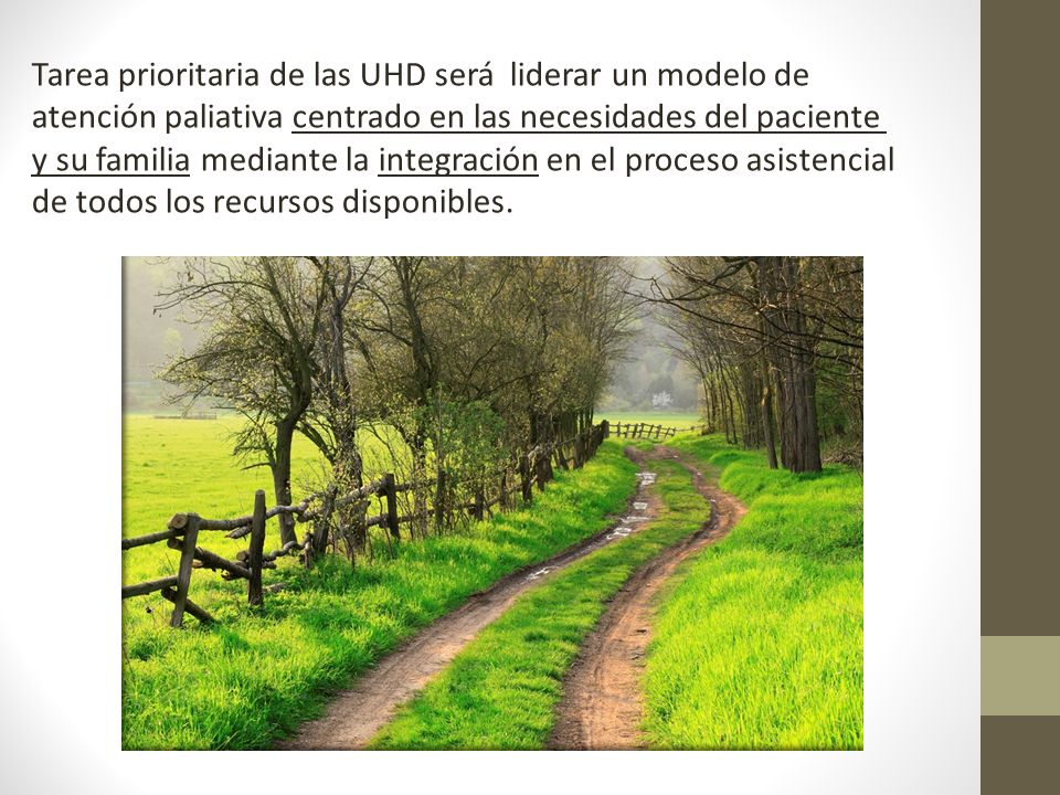 Tarea prioritaria de las UHD será liderar un modelo de