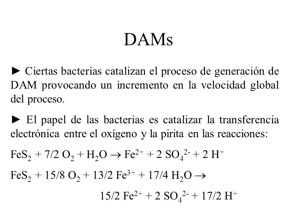 DAMs ► Ciertas bacterias catalizan el proceso de generación de DAM provocando un incremento en la velocidad global del proceso.