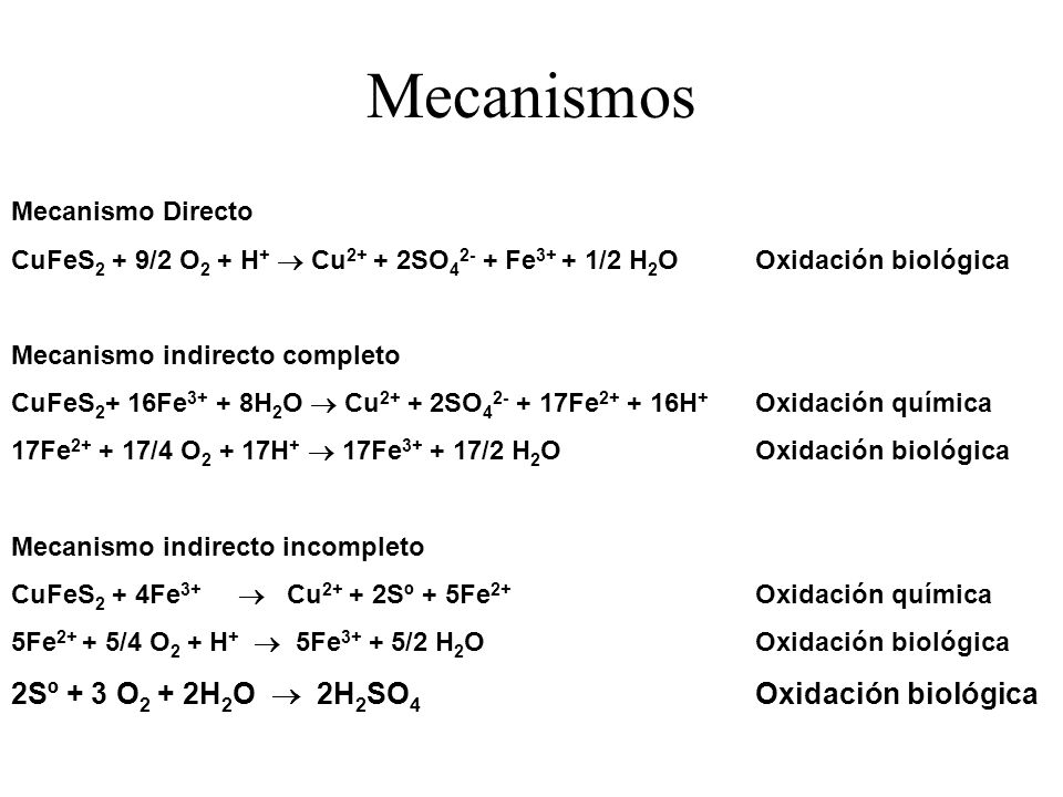 Mecanismos 2Sº + 3 O2 + 2H2O  2H2SO4 Oxidación biológica