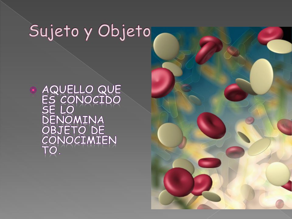 Sujeto y Objeto Aquello que es conocido se lo denomina objeto de conocimiento.