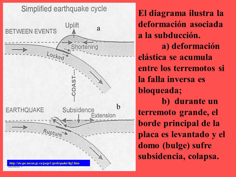 El diagrama ilustra la deformación asociada a la subducción.