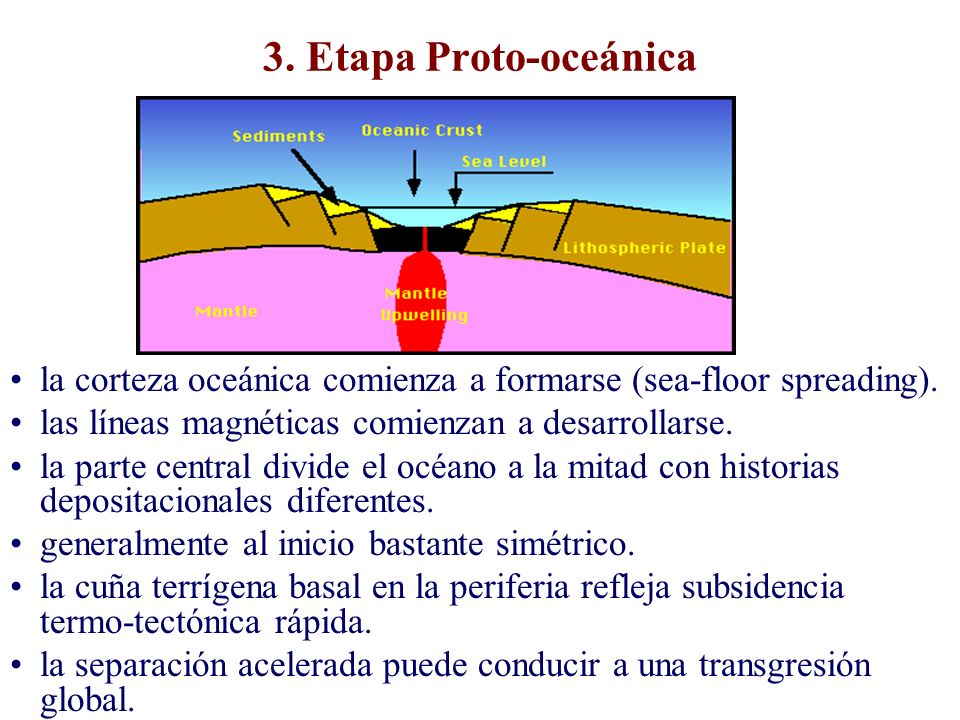 3. Etapa Proto-oceánica la corteza oceánica comienza a formarse (sea-floor spreading). las líneas magnéticas comienzan a desarrollarse.