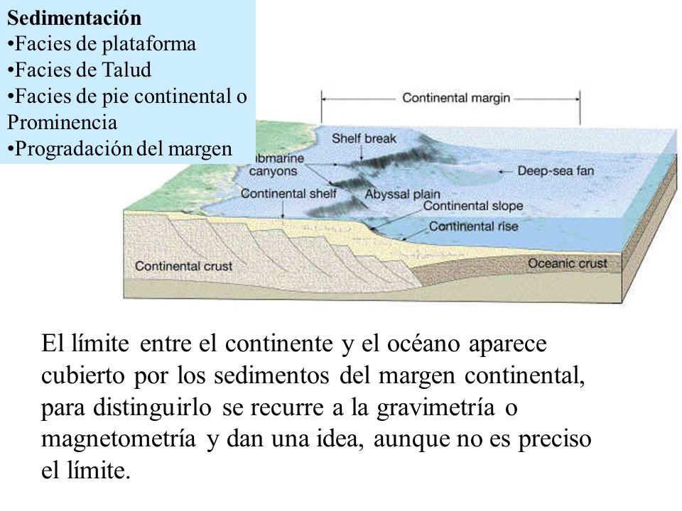 Sedimentación Facies de plataforma. Facies de Talud. Facies de pie continental o Prominencia. Progradación del margen.