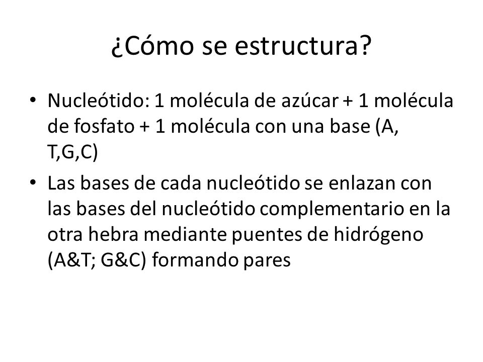 ¿Cómo se estructura Nucleótido: 1 molécula de azúcar + 1 molécula de fosfato + 1 molécula con una base (A, T,G,C)