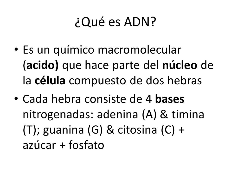 ¿Qué es ADN Es un químico macromolecular (acido) que hace parte del núcleo de la célula compuesto de dos hebras.