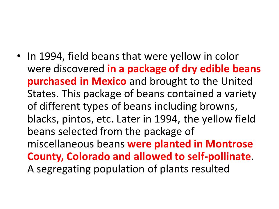 In 1994, field beans that were yellow in color were discovered in a package of dry edible beans purchased in Mexico and brought to the United States.