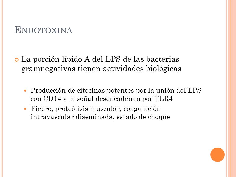 Endotoxina La porción lípido A del LPS de las bacterias gramnegativas tienen actividades biológicas.