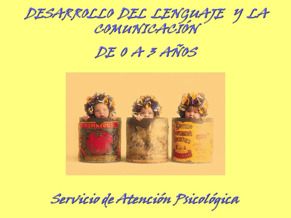 DESARROLLO DEL LENGUAJE Y LA COMUNICACIÓN DE 0 A 3 AÑOS
