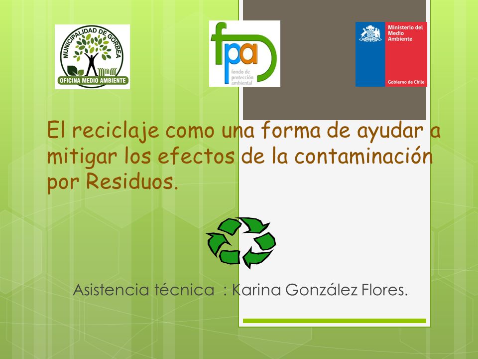Asistencia técnica : Karina González Flores.