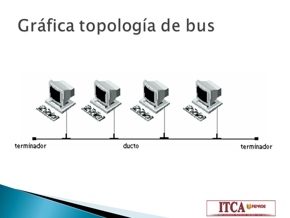 Gráfica topología de bus