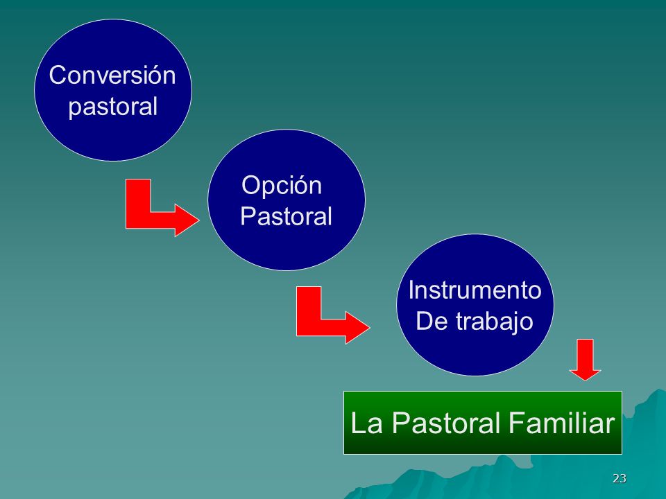 La Pastoral Familiar Conversión pastoral Opción Pastoral Instrumento