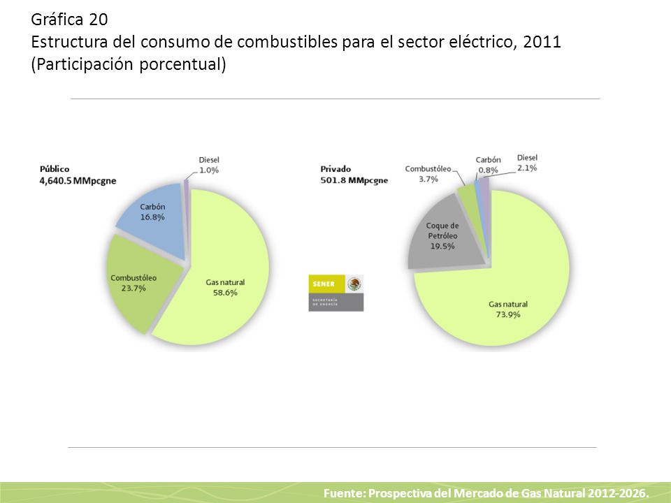 Gráfica 20 Estructura del consumo de combustibles para el sector eléctrico, 2011 (Participación porcentual)