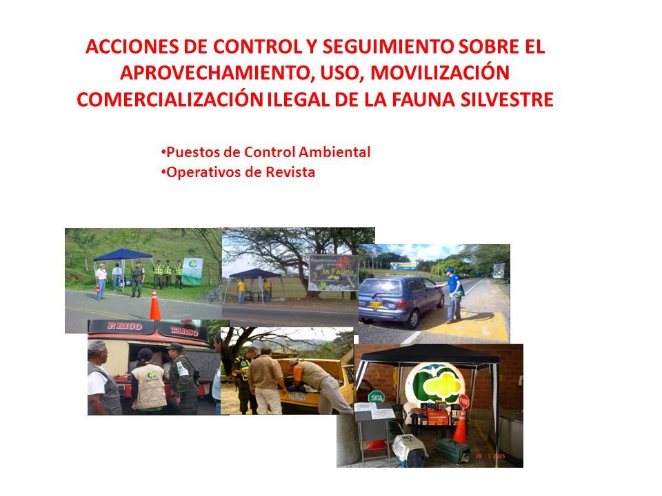 ACCIONES DE CONTROL Y SEGUIMIENTO SOBRE EL APROVECHAMIENTO, USO, MOVILIZACIÓN COMERCIALIZACIÓN ILEGAL DE LA FAUNA SILVESTRE