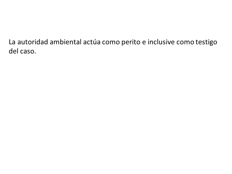La autoridad ambiental actúa como perito e inclusive como testigo del caso.