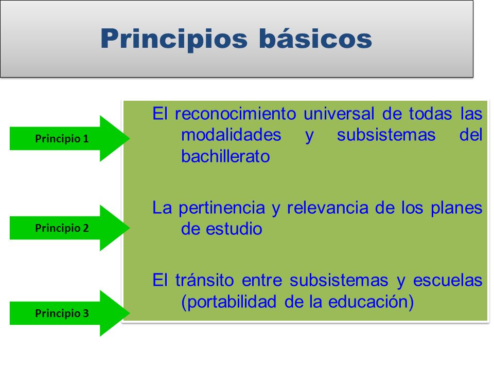 Principios básicos El reconocimiento universal de todas las modalidades y subsistemas del bachillerato.
