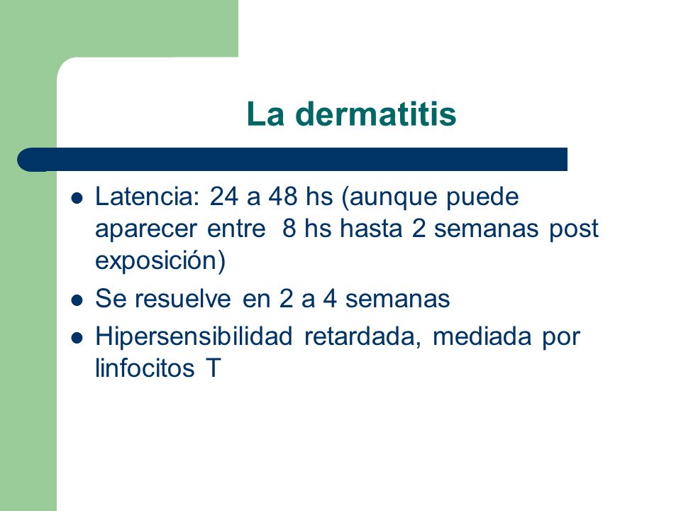 La dermatitis Latencia: 24 a 48 hs (aunque puede aparecer entre 8 hs hasta 2 semanas post exposición)
