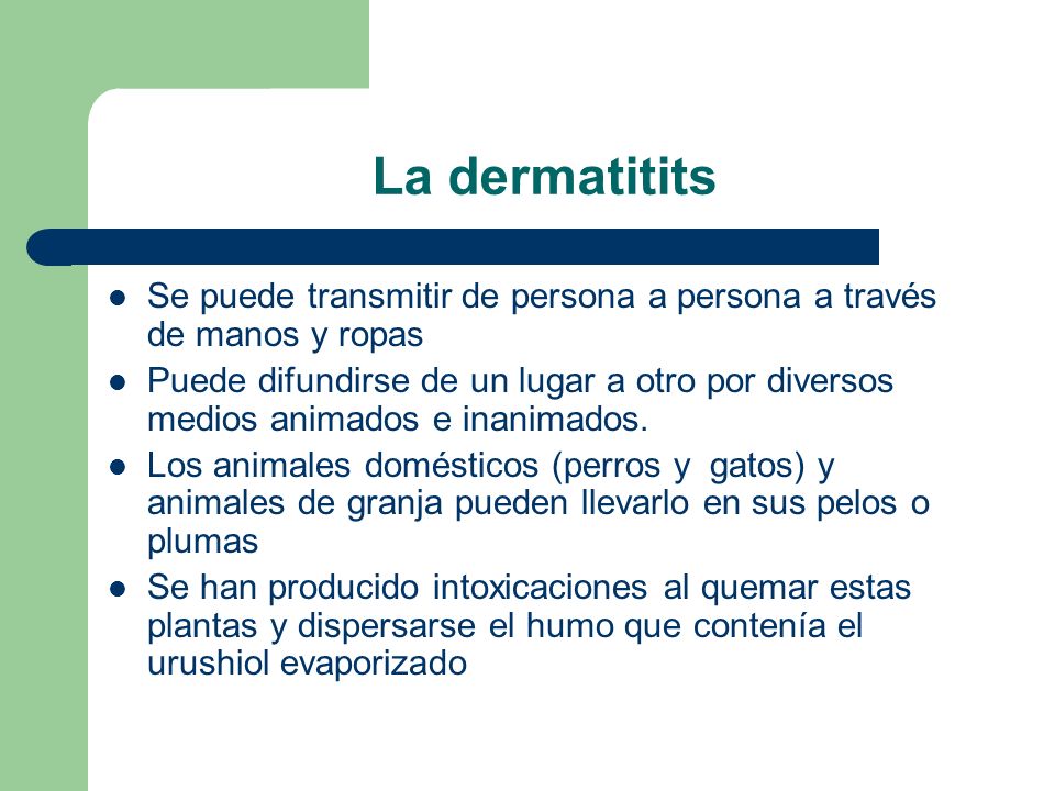 La dermatitits Se puede transmitir de persona a persona a través de manos y ropas.