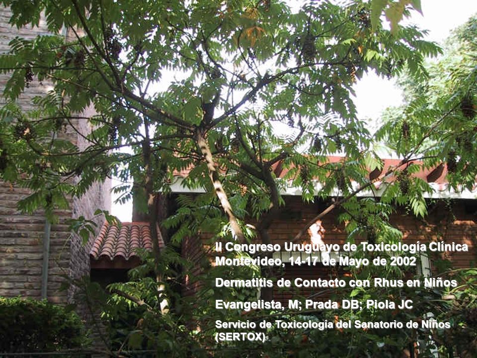Dermatitis de Contacto con Rhus en Niños