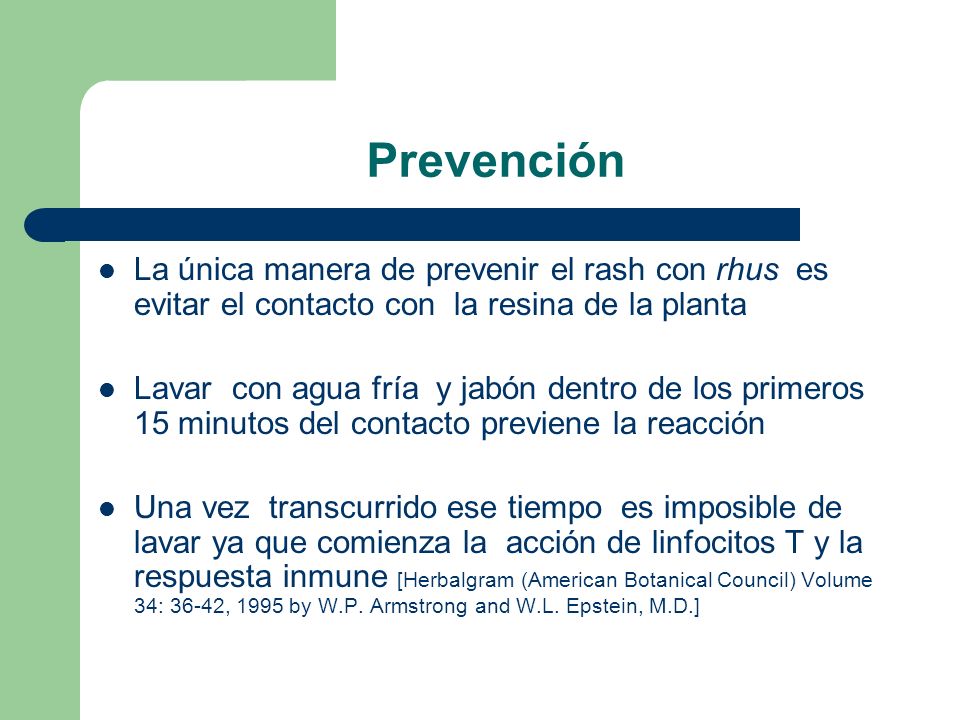 Prevención La única manera de prevenir el rash con rhus es evitar el contacto con la resina de la planta.