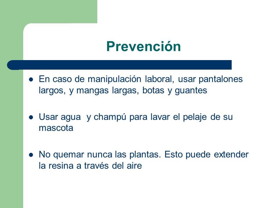Prevención En caso de manipulación laboral, usar pantalones largos, y mangas largas, botas y guantes.