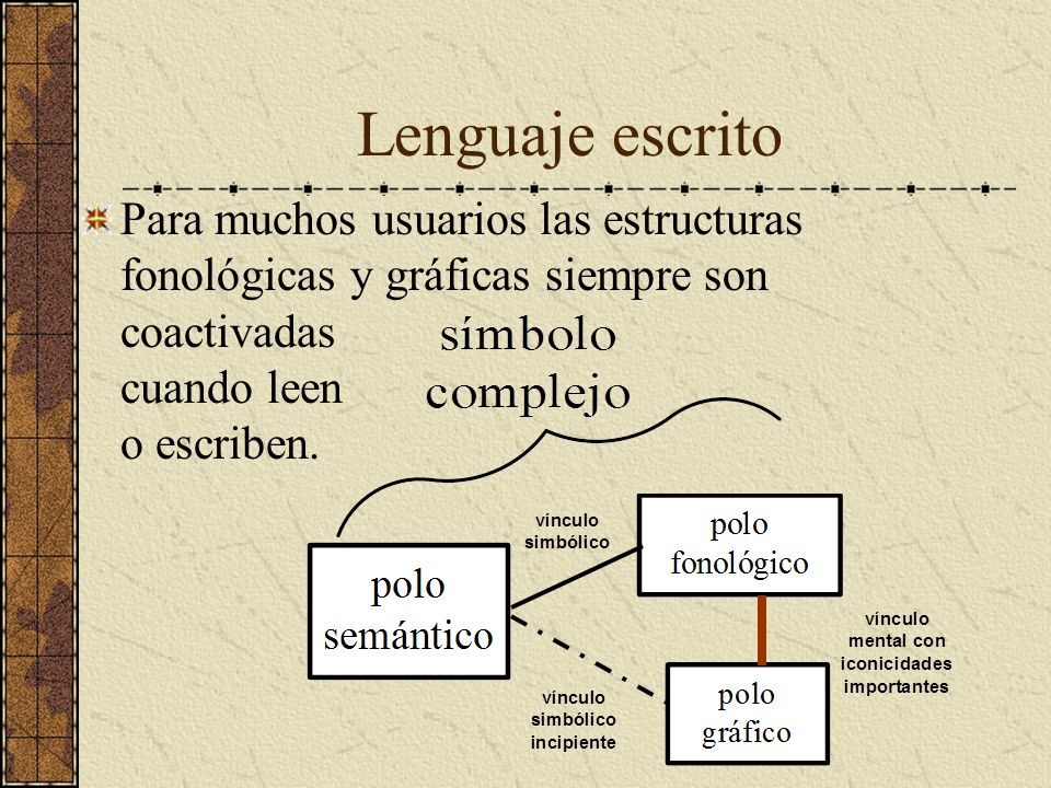 Lenguaje escrito Para muchos usuarios las estructuras fonológicas y gráficas siempre son coactivadas cuando leen o escriben.